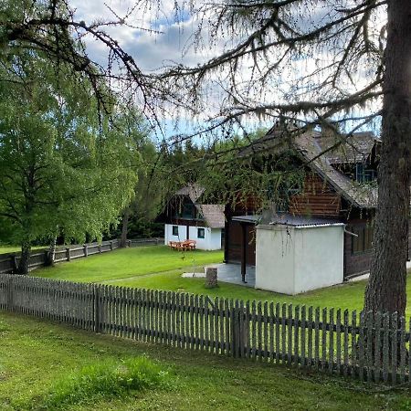 Ferienhaus Waldtraum 格兰河畔圣法伊特 外观 照片