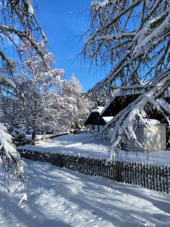 Ferienhaus Waldtraum 格兰河畔圣法伊特 外观 照片