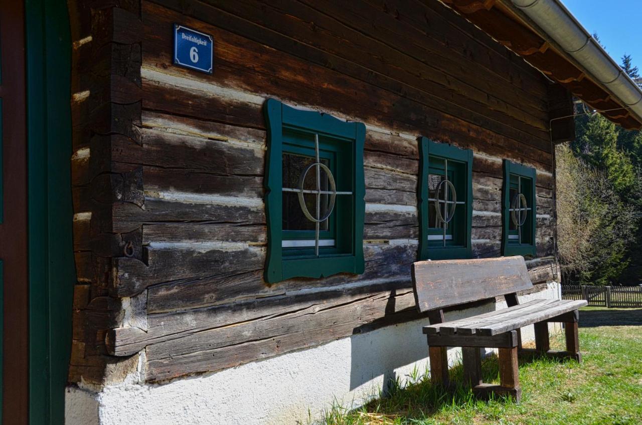 Ferienhaus Waldtraum 格兰河畔圣法伊特 外观 照片