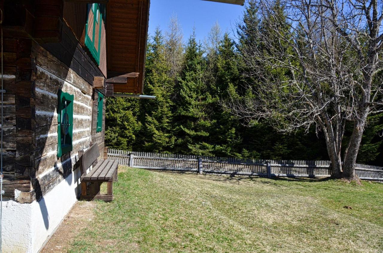 Ferienhaus Waldtraum 格兰河畔圣法伊特 外观 照片