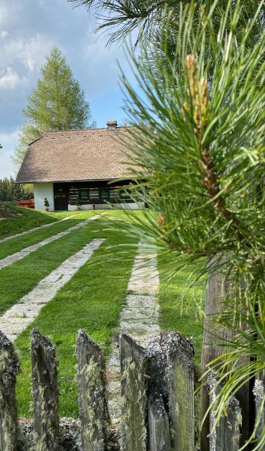 Ferienhaus Waldtraum 格兰河畔圣法伊特 外观 照片