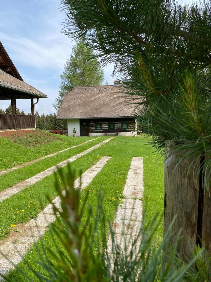 Ferienhaus Waldtraum 格兰河畔圣法伊特 外观 照片